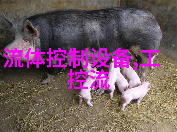 液位变送器XPT133